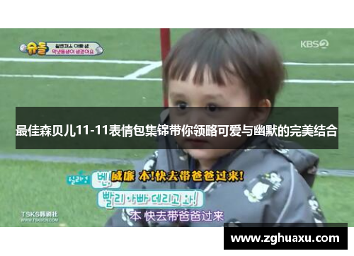 最佳森贝儿11-11表情包集锦带你领略可爱与幽默的完美结合
