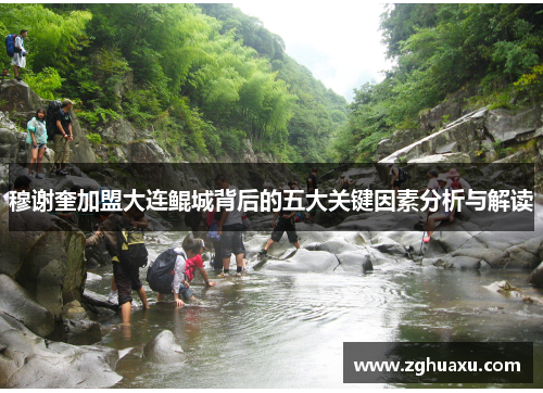 穆谢奎加盟大连鲲城背后的五大关键因素分析与解读