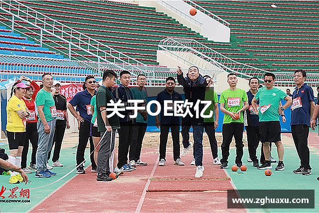 关于OE欧亿